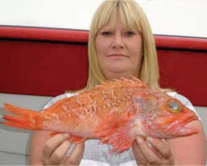 NEW RECORD BLUEMOUTH: Sue Tait from Cork with her new record of 1.32 kg taken off Caherciveen on 28th July 2008