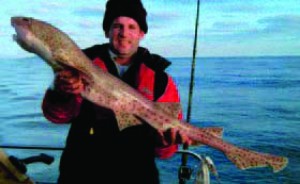 A Greater Spotted Dogfish for Dan Lynch taken off Schull in November 2006