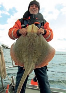 A specimen Blonde Ray for Robert Fowler, 2012