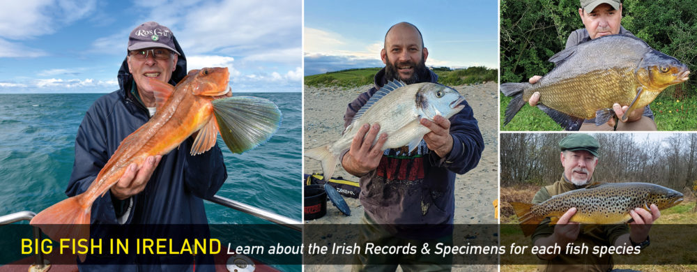 Irish Record Fish