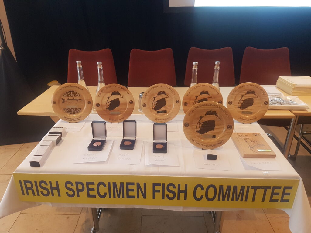 Irish specimen Fish Awards